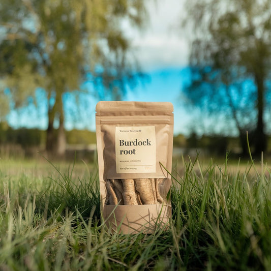Burdock Root c/s