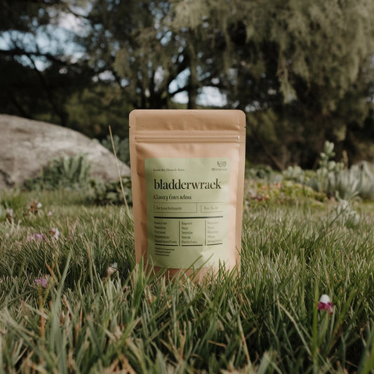 Bladderwrack c/s